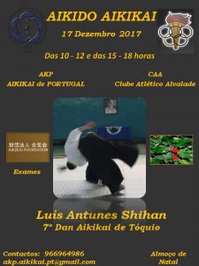 Aikido Aikikai Estágio De Natal